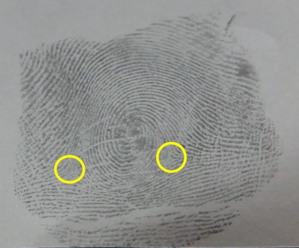 Perfect Thumbprint